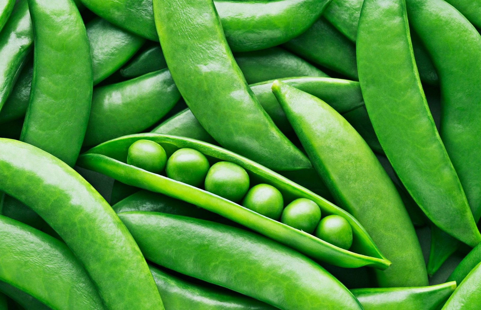 Peas and pea pods close-up